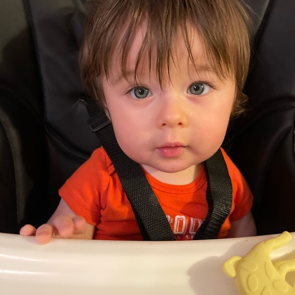 Meet your Posher, Dezi - Picture 5 of 5